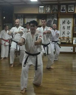 Training in Shido-kan Honbu Dojo