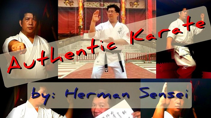 Herman Sensei Youtube Channel