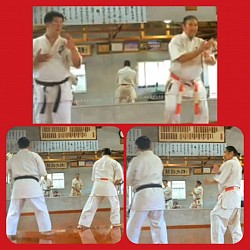 Receiving instructions from Alberto Presincula, Hanshi